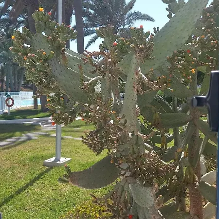 Barqueros 9 By Holidays Fuerteventura アパート