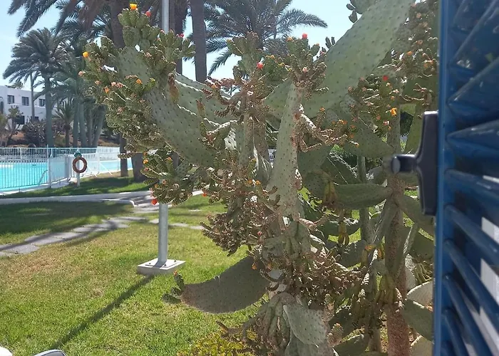 Barqueros 9 By Holidays Fuerteventura Apartamento